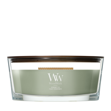 Woodwick Verdant Fig - Ellipse jar