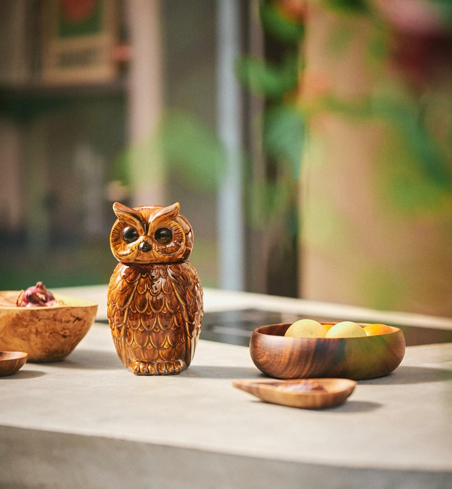 HK living Ceramic Owl Jar