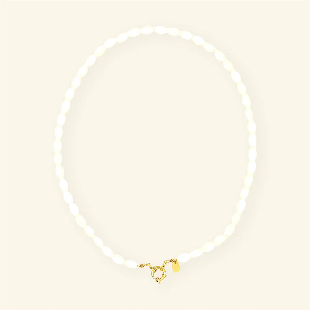 Oval Shell ketting