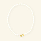 Oval Shell ketting