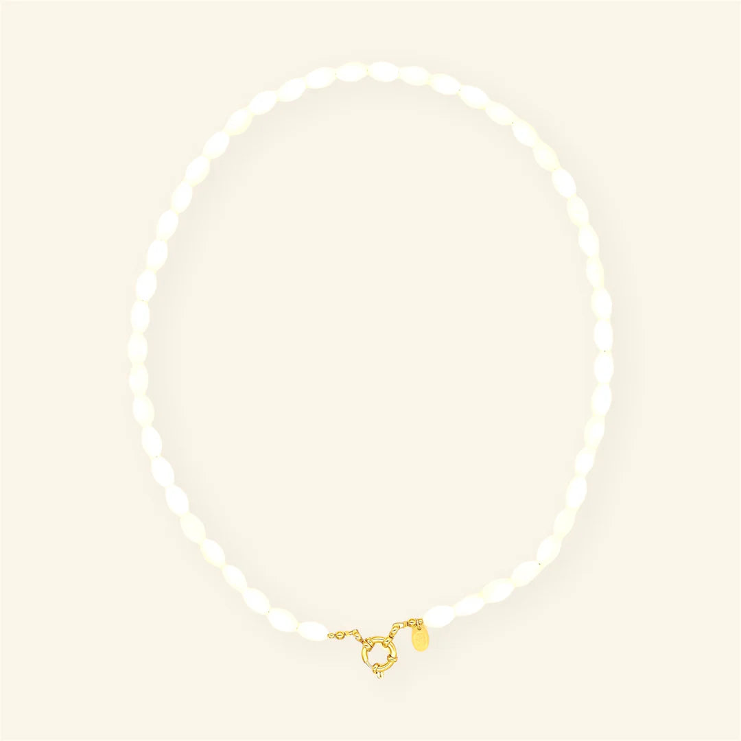 Oval Shell ketting