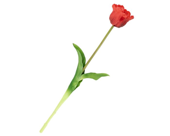 Kunst tulp open Rood